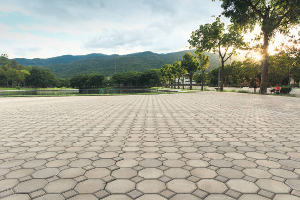 Best Residential Paver Driveway  in Kachina Village, AZ